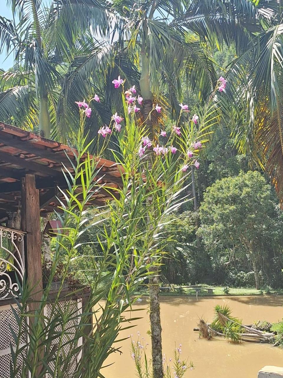 Chácara ladeira de Pedra Vila Salesópolis Exterior foto